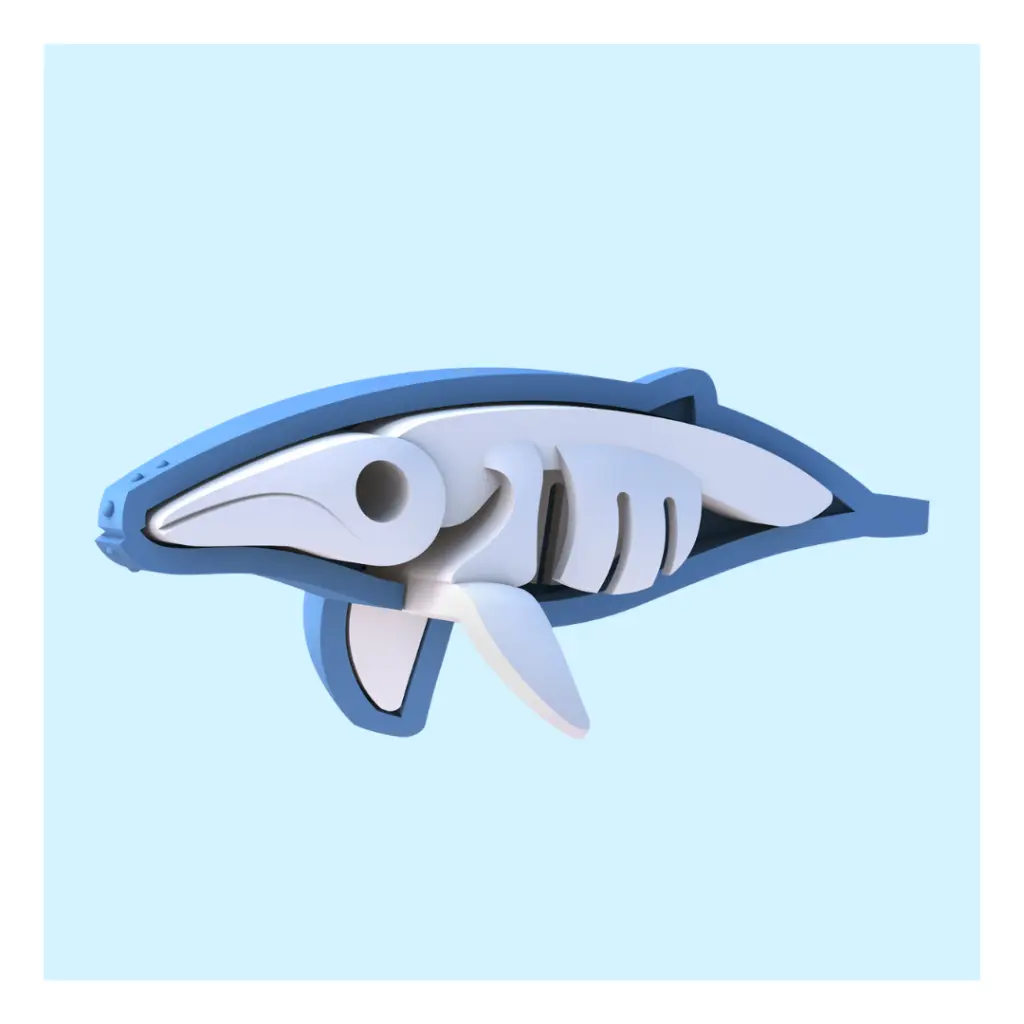 HT-HO-HumpbackWhale.webp