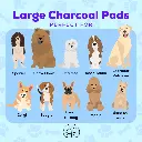 Pupaholic-CharcoalPads-L-2.webp
