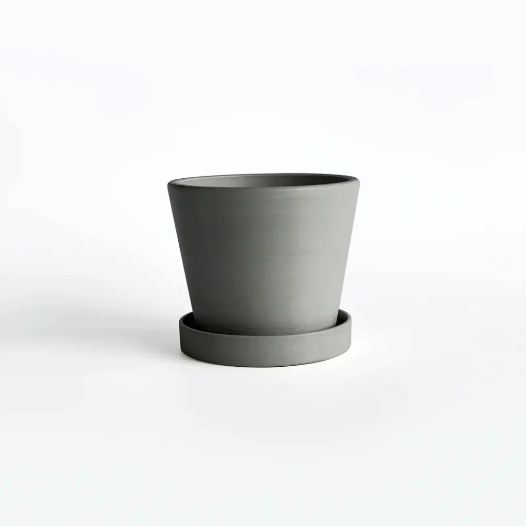 Zenpots Pot with Catch Plate