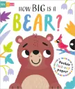 How Big Is a Bear? (Slide and Seek - Multi-Stage Pull Tab Book)