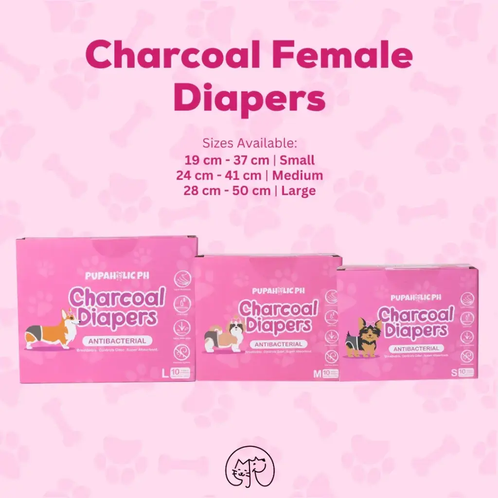Pupaholic PH Charcoal Female Diapers 10s