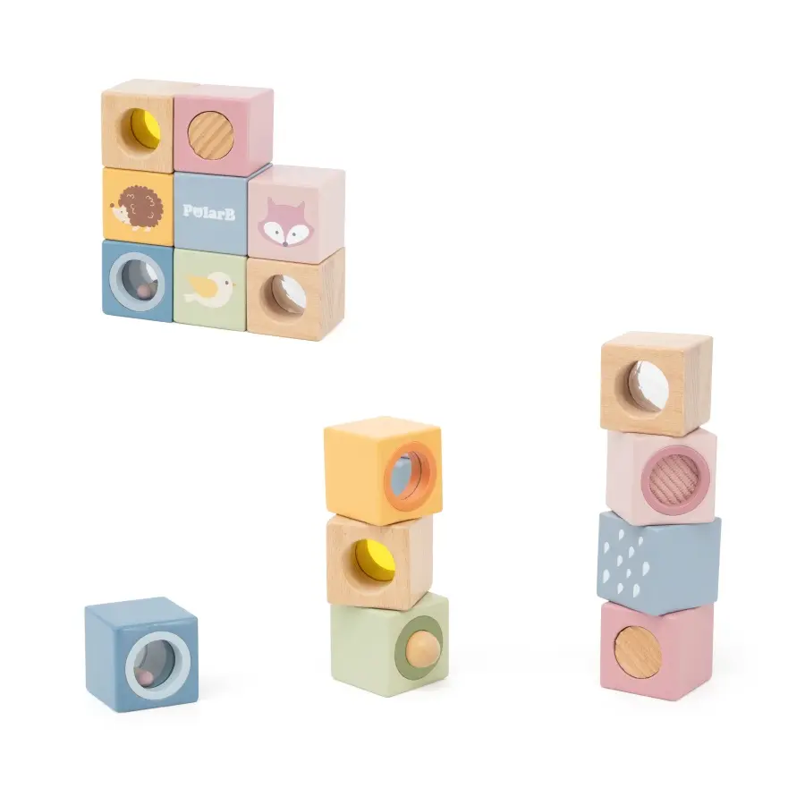 PolarB Sensory Blocks