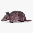 Eugy 3D Cardboard Model Kit - Armadillo