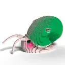 Eugy 3D Cardboard Model Kit - Snail