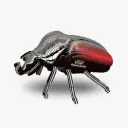 Eugy 3D Cardboard Model Kit - Goliath Beetle