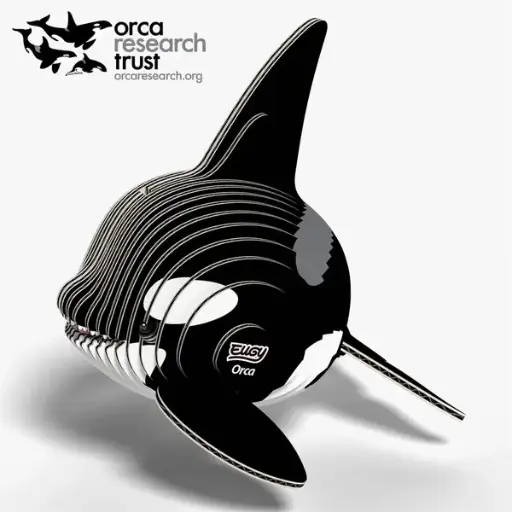 Eugy 3D Cardboard Model Kit - Orca