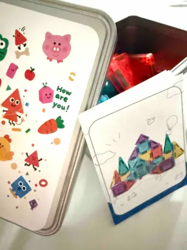 Magnetic Tiles with Case